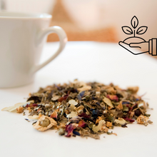 Infusión Rooibos en Bolsas de Piramide