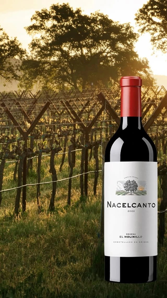 Nacelcanto Wine 2022