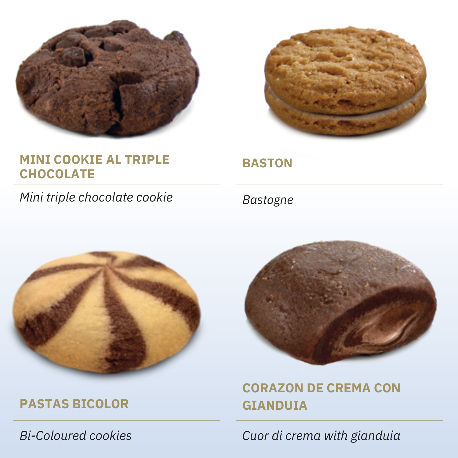 Large Gift Box with Tea and Chocolate Cookies 430g