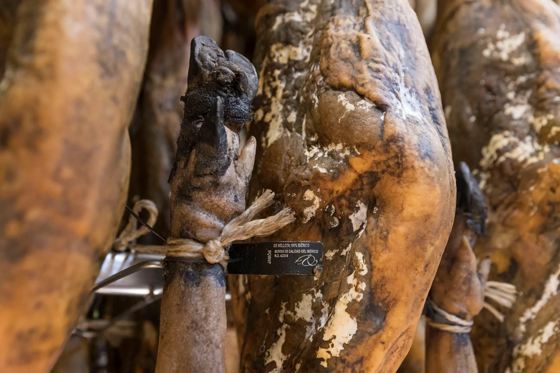 Jamón de Bellota 100% Ibérico