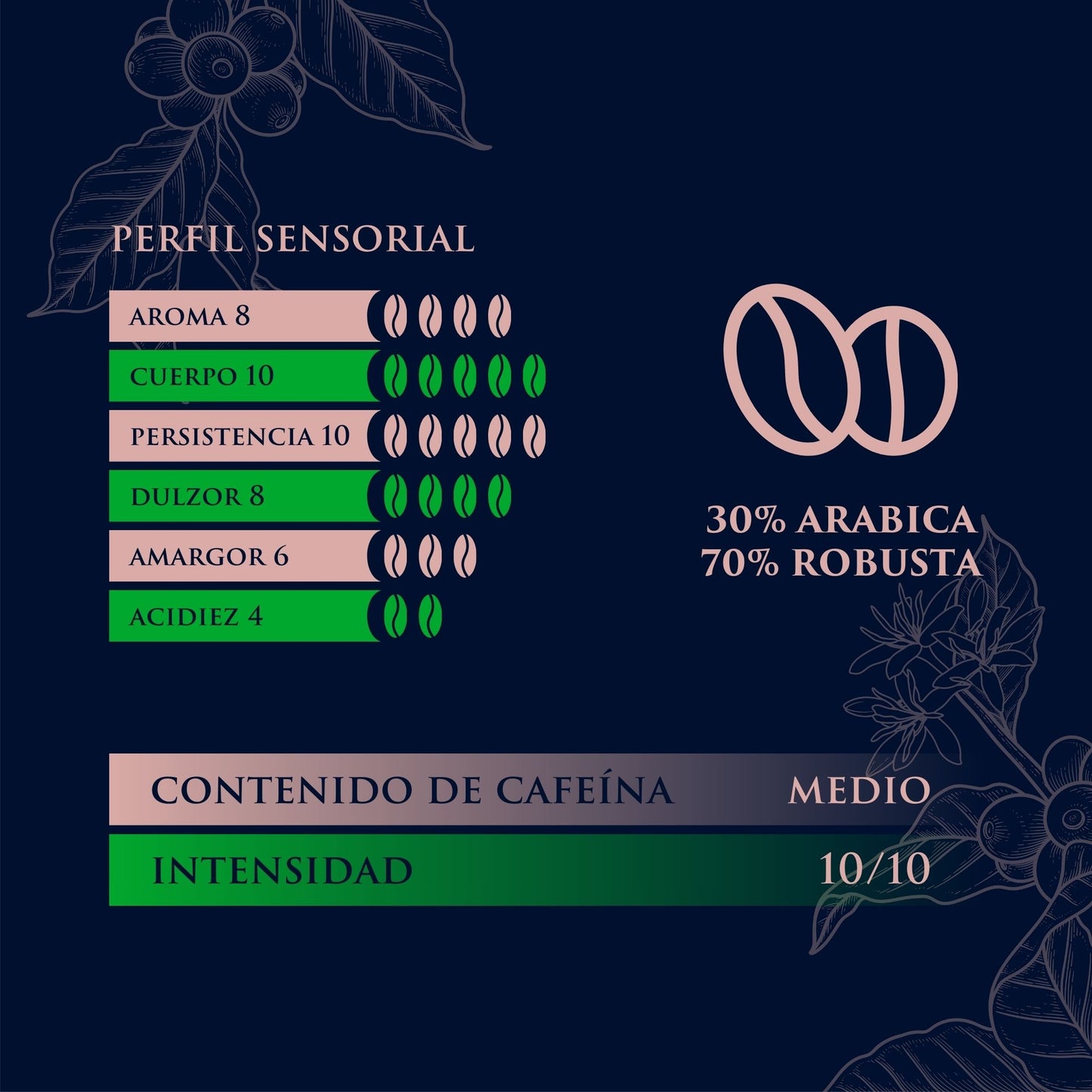 Omero Espresso Superior, Italian Coffee in FAP Compatible Capsules with Lavazza® Espresso Point® Coffee Machine