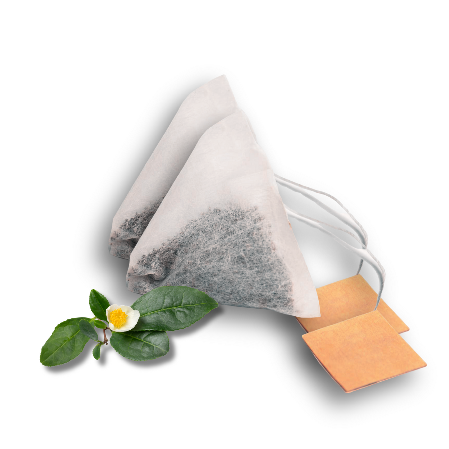 Té Verde Gunpowder en 30 Bolsas de Piramide