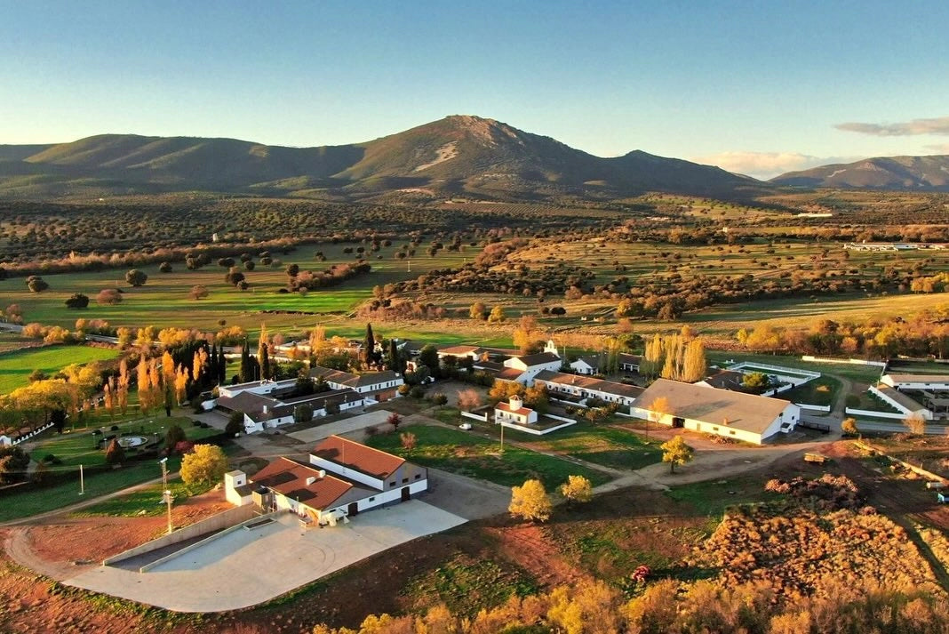 Nacelcanto Wine 2022