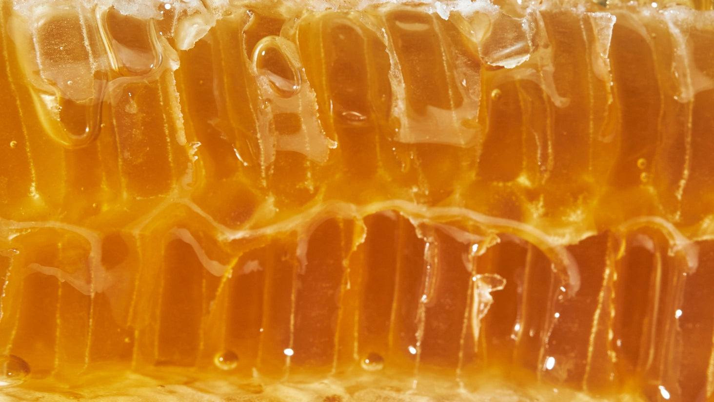 Pure honey from Dehesa El Molinillo