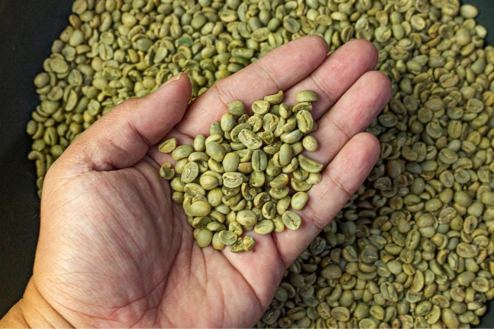 Café descafeinado sin químicos: ¿existe y cuál es el mejor método?