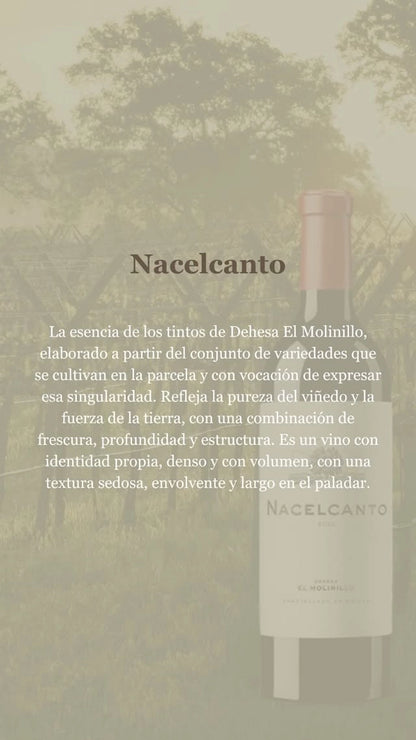 EDICIÓN LIMITADA “Día del Padre”