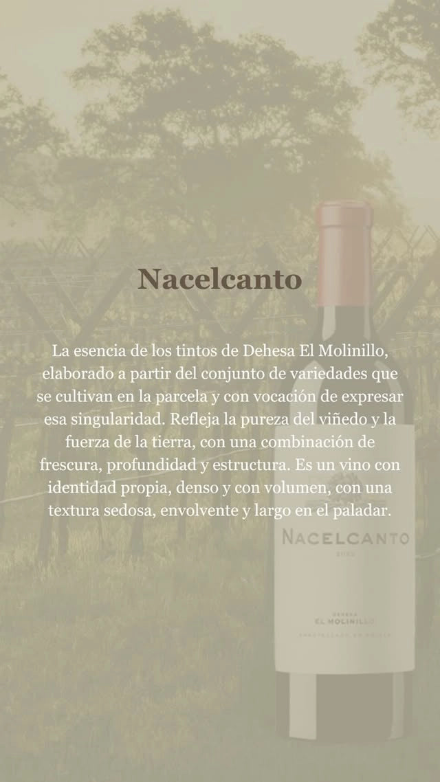 EDICIÓN LIMITADA “Día del Padre”