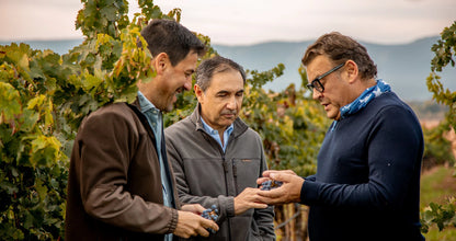 Nacelcanto Wine 2022