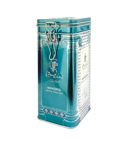 Infusión Menta Poleo en Bolsas de Piramide