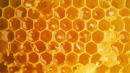 Pure honey from Dehesa El Molinillo 